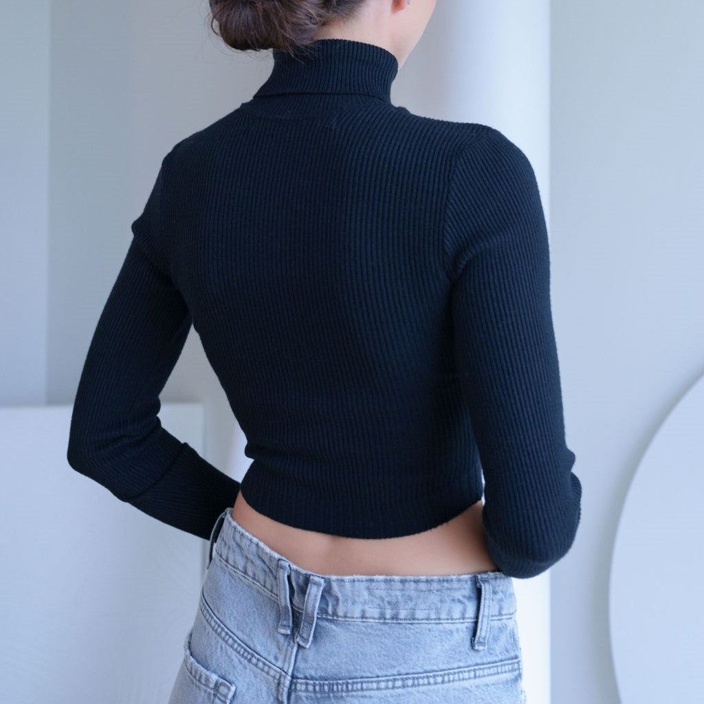 Turtle Neck Crop Top